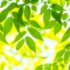 レスパイト入院のご案内